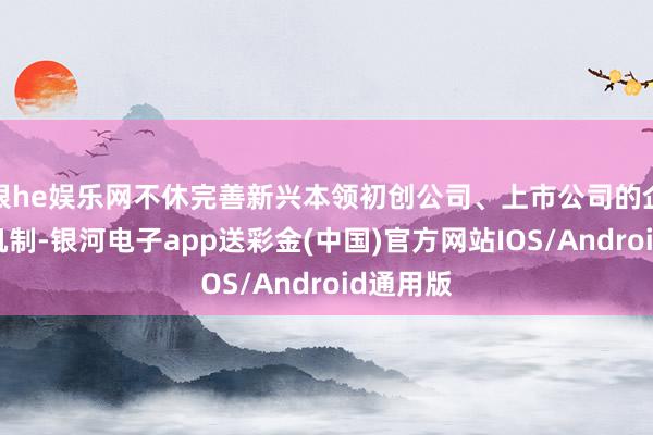 银he娱乐网不休完善新兴本领初创公司、上市公司的企业培育机制-银河电子app送彩金(中国)官方网站IOS/Android通用版