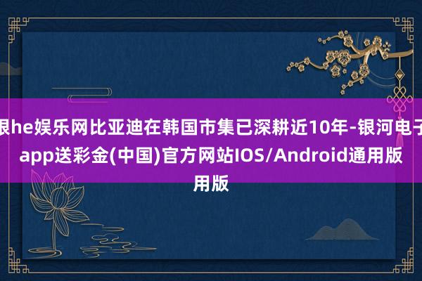 银he娱乐网比亚迪在韩国市集已深耕近10年-银河电子app送彩金(中国)官方网站IOS/Android通用版