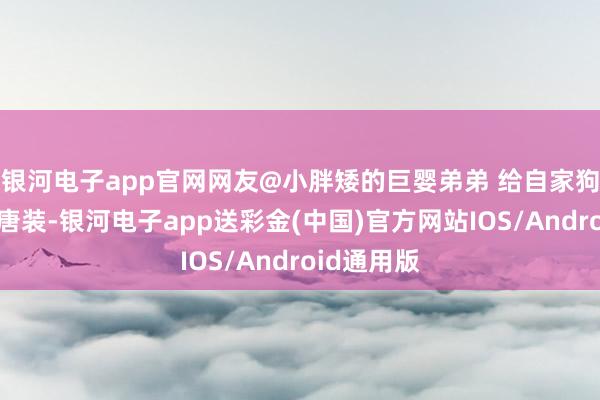 银河电子app官网网友@小胖矮的巨婴弟弟 给自家狗狗穿上了唐装-银河电子app送彩金(中国)官方网站IOS/Android通用版