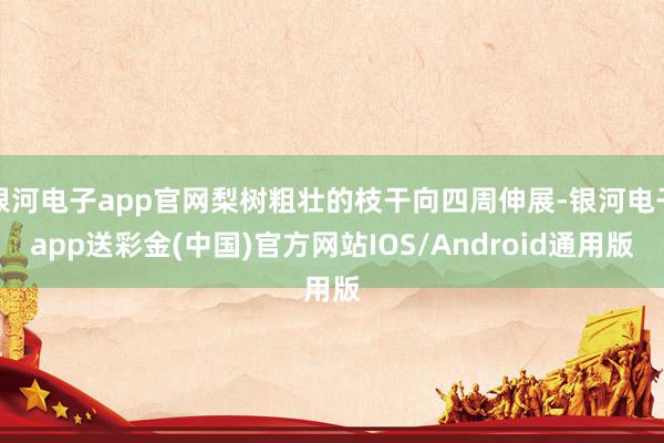 银河电子app官网梨树粗壮的枝干向四周伸展-银河电子app送彩金(中国)官方网站IOS/Android通用版