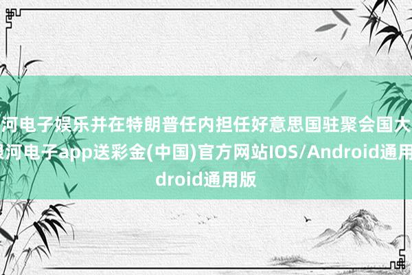 银河电子娱乐并在特朗普任内担任好意思国驻聚会国大使-银河电子app送彩金(中国)官方网站IOS/Android通用版