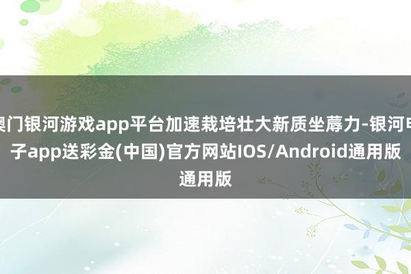 澳门银河游戏app平台加速栽培壮大新质坐蓐力-银河电子app送彩金(中国)官方网站IOS/Android通用版